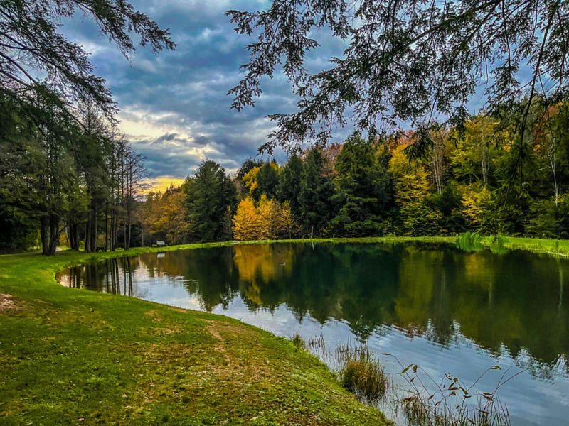 The Lodge At Glendorn, PA -  image number 2