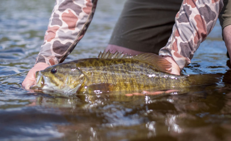 Hawk Lake Lodge, ON -  image number 3