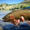 Trout Unlimited Women’s Trip at Hubbard’s Yellowstone Lodge -  image number 1