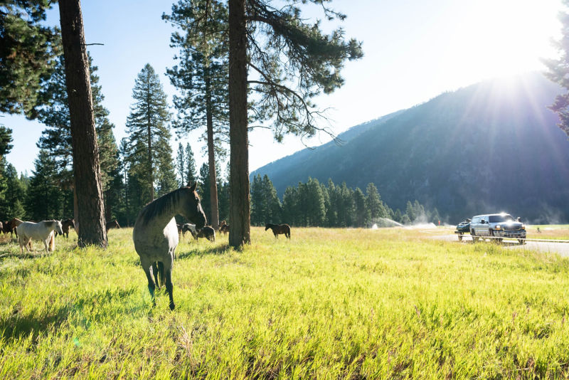 Triple Creek Ranch -  image number 1