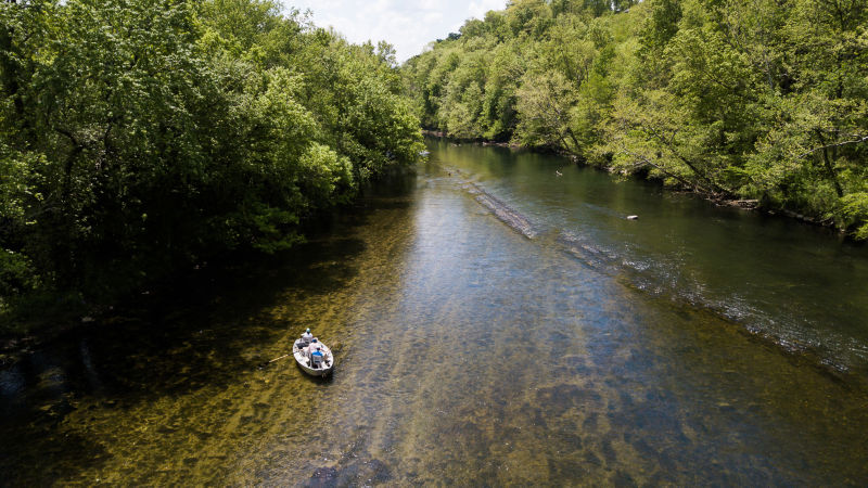Brown Trout Fly Fishing, LLC., NC -  image number 1