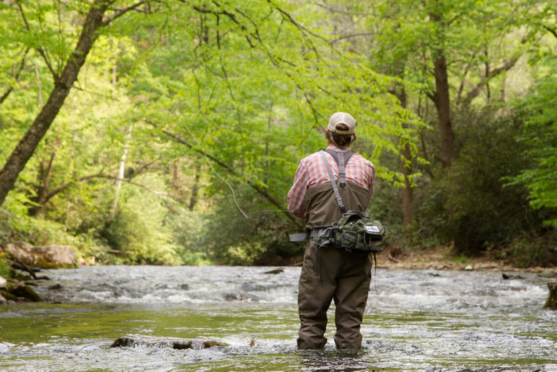Brown Trout Fly Fishing, LLC., NC -  image number 2