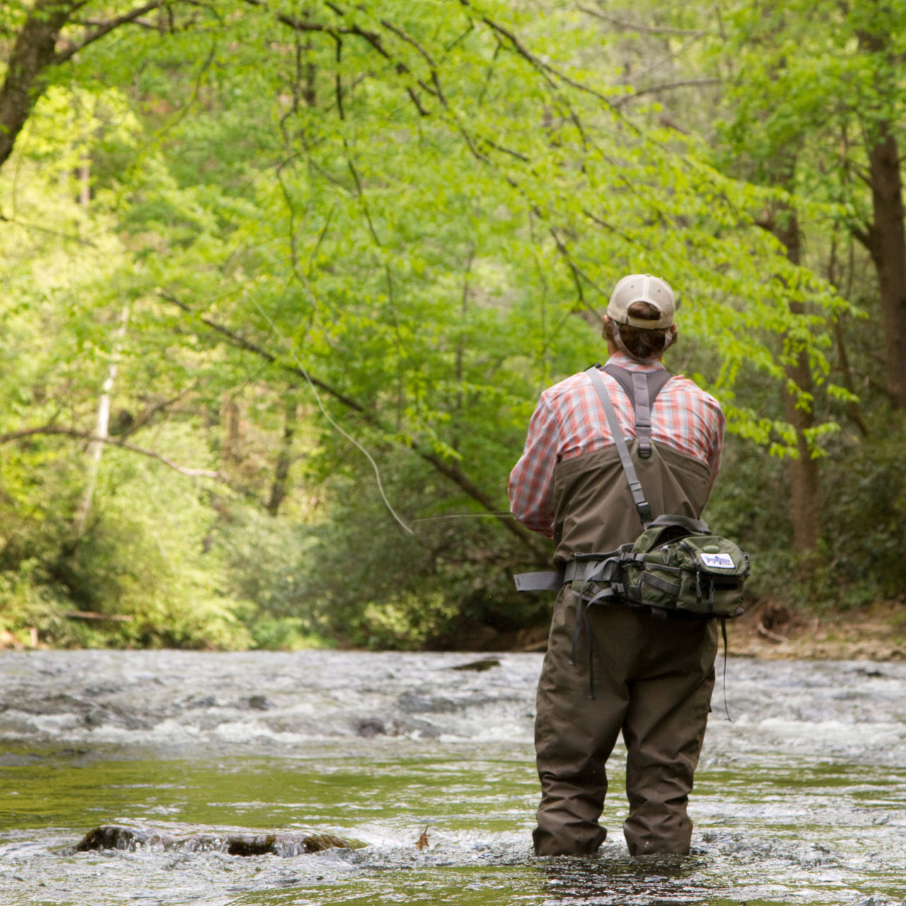 Brown Trout Fly Fishing, LLC., NC -  image number 2