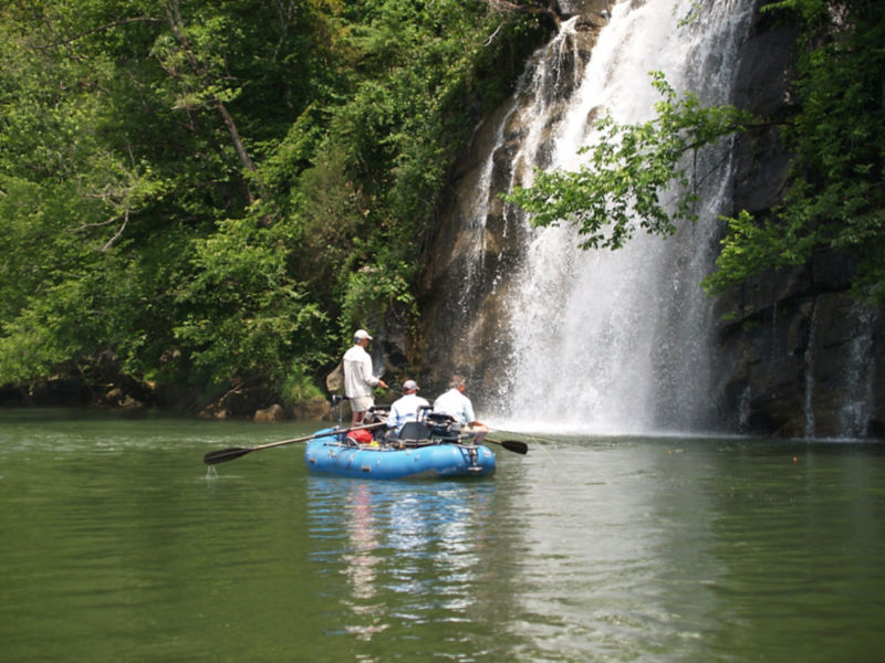 Brown Trout Fly Fishing, LLC., NC -  image number 4