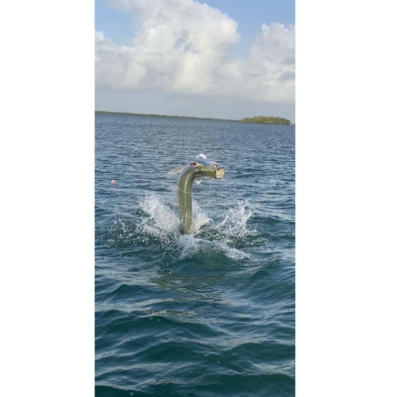 Capt. Andrew Tipler -  image number 3