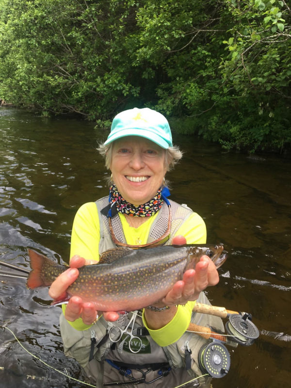 Randy McGuiness -  image number 3