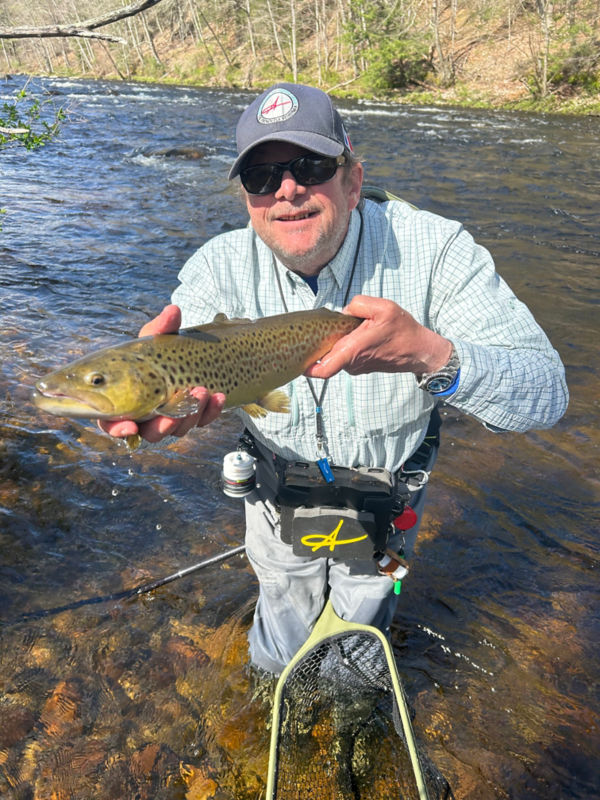 Antoine Bissieux, CT -  image number 1