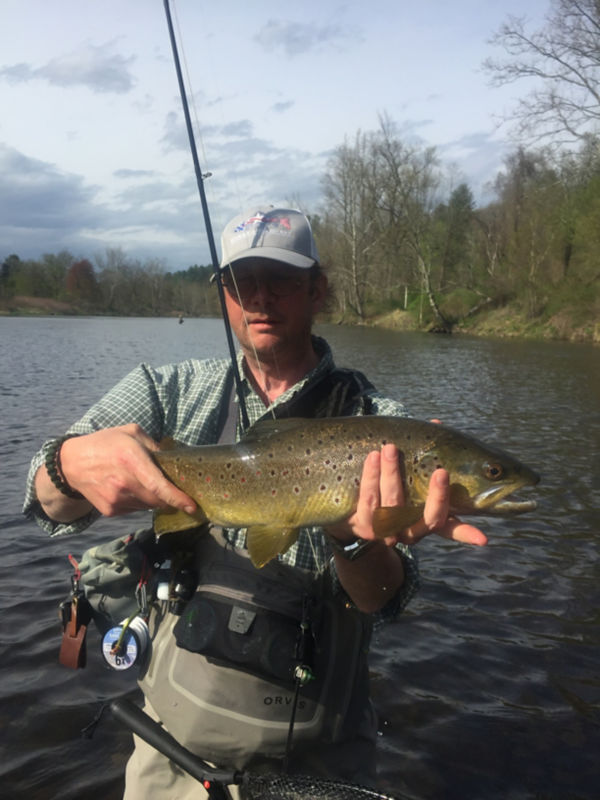 Antoine Bissieux, CT -  image number 6