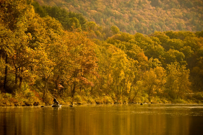 Cross Current Guide Services &amp; Outfitters, PA -  image number 0