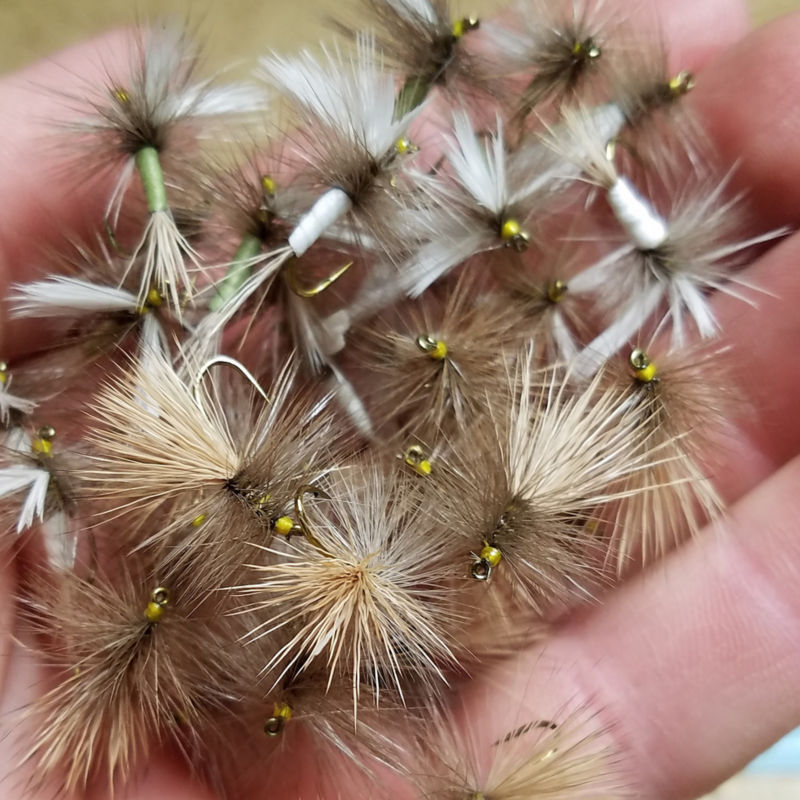 Capt. Matt Thomas, CO -  image number 4