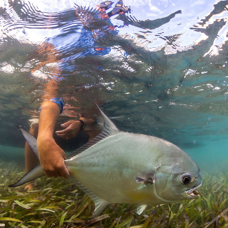 Blue Horizon Lodge -  image number 1