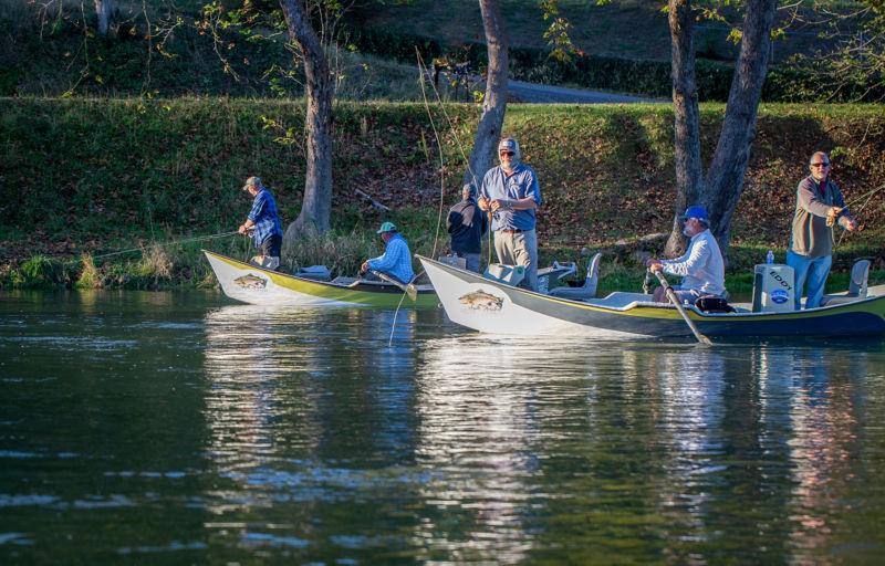 South Holston River Company, TN -  image number 3