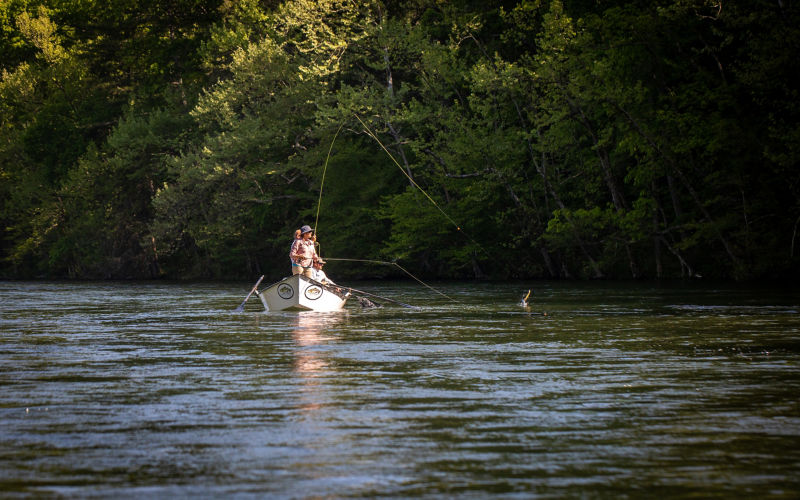South Holston River Company, TN -  image number 4