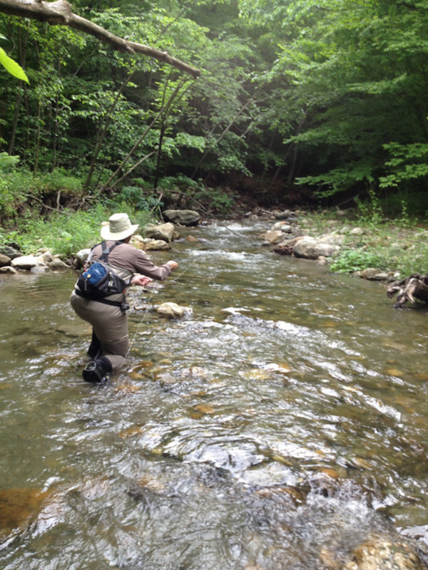 Peter Basta, VT -  image number 1