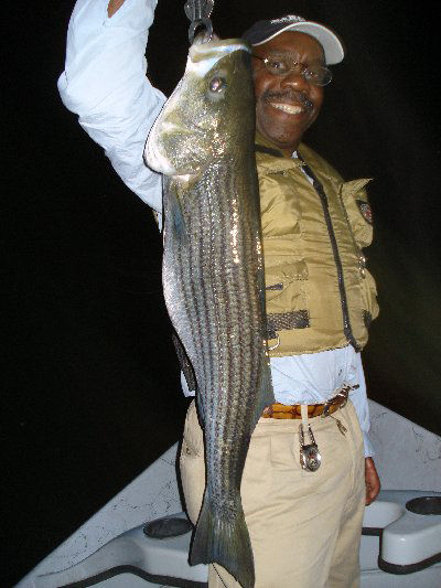 Ray Ottulich, NY -  image number 1