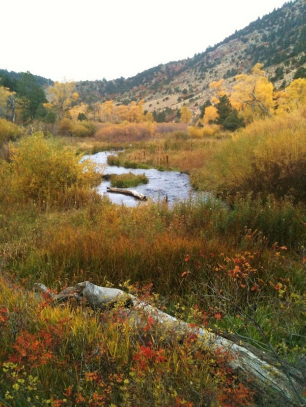 Doc Thompson, NM -  image number 3