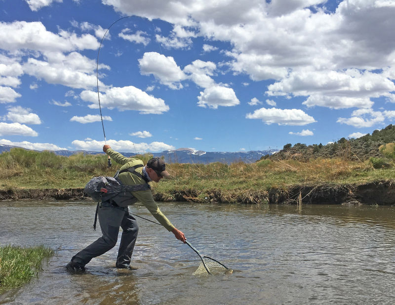 Doc Thompson, NM -  image number 0