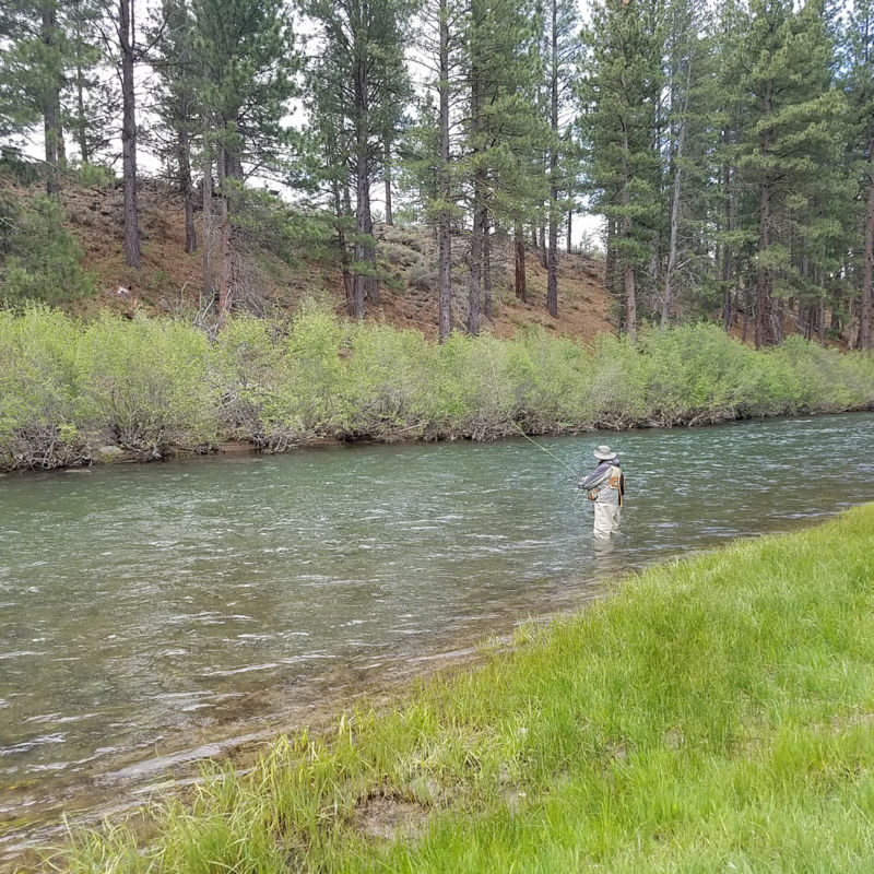 Brian Slusser -  image number 1