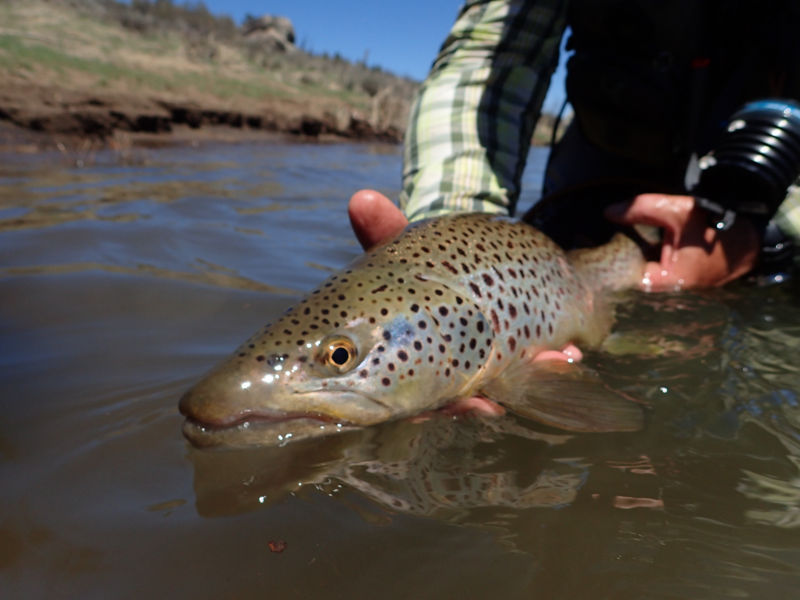 Brian Slusser -  image number 0