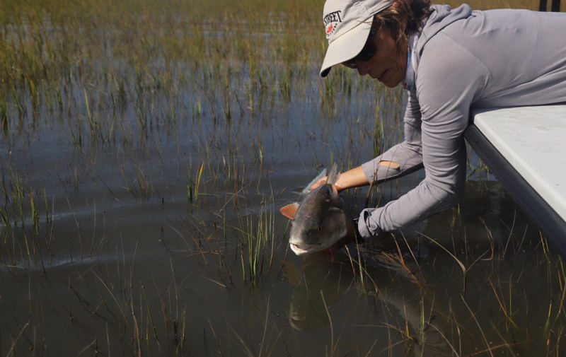 Bay Street Outfitters, SC -  image number 2