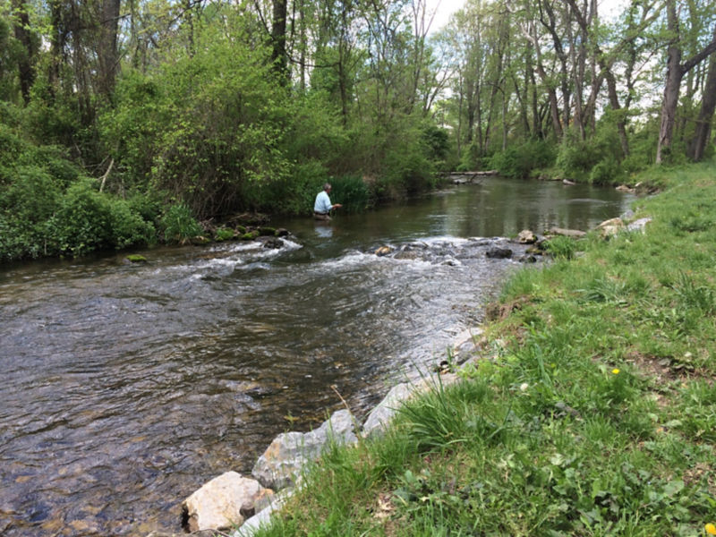 Thomas E. Baltz -  image number 1