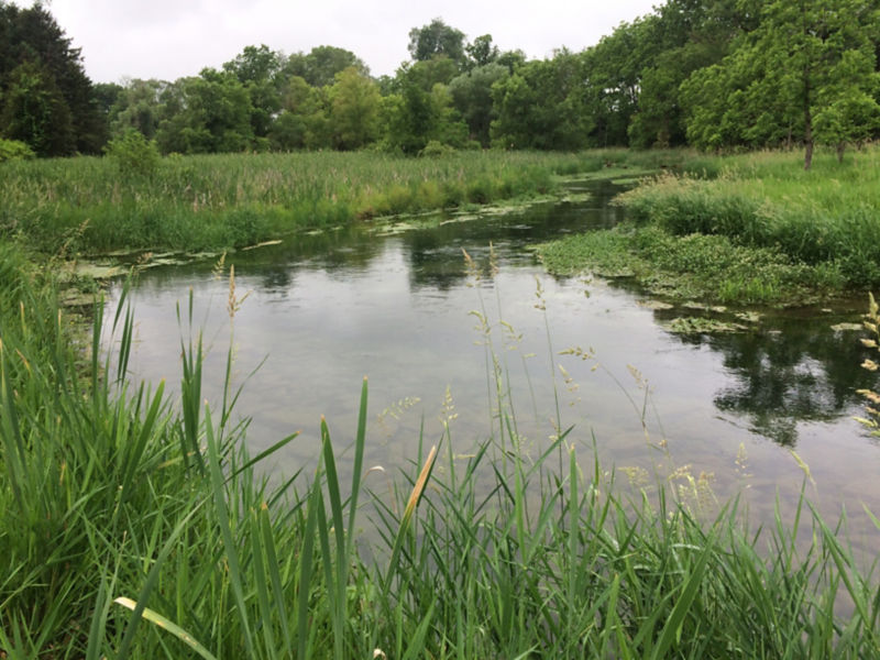 Thomas E. Baltz -  image number 2