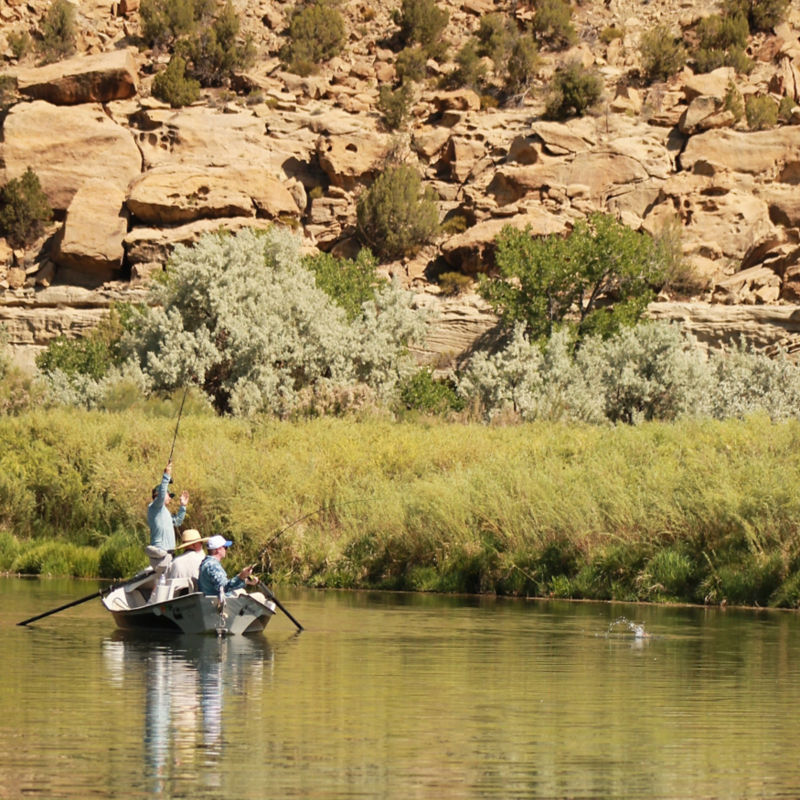 Fisheads San Juan River Lodge, NM -  image number 1