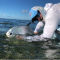 The Saltwater Angler, FL -  image number 2