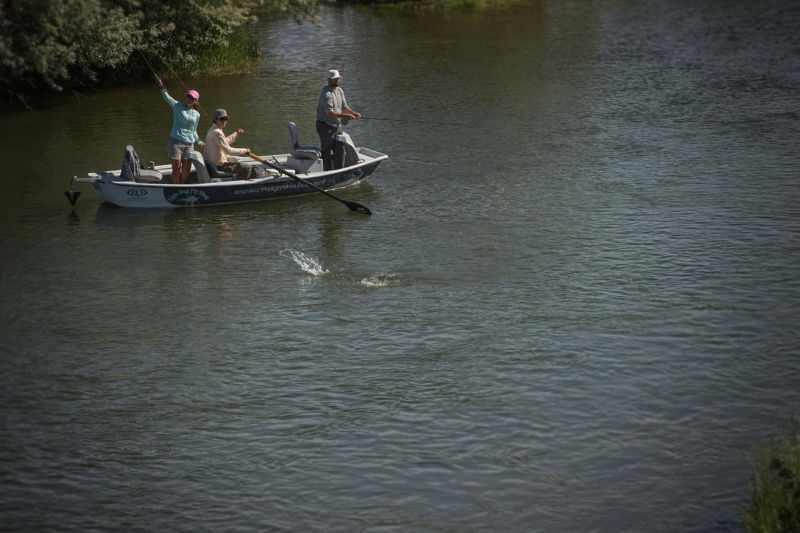 Ugly Bug Fly Shop, WY -  image number 1