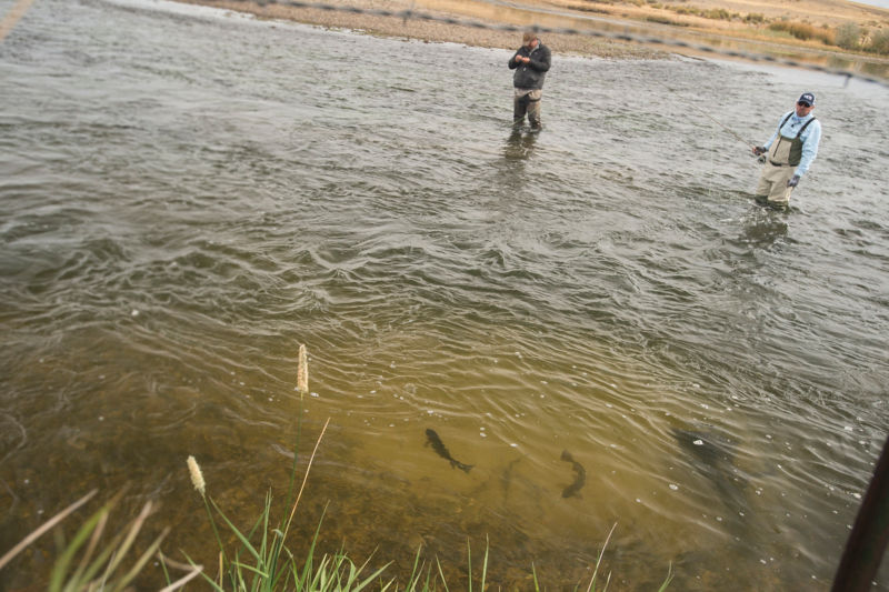 Ugly Bug Fly Shop, WY -  image number 3