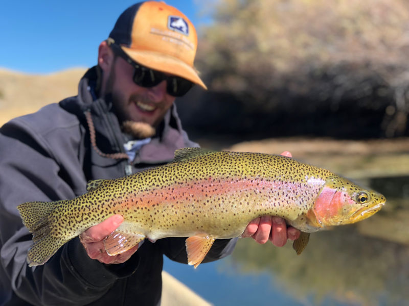 Willowfly Anglers, CO -  image number 2