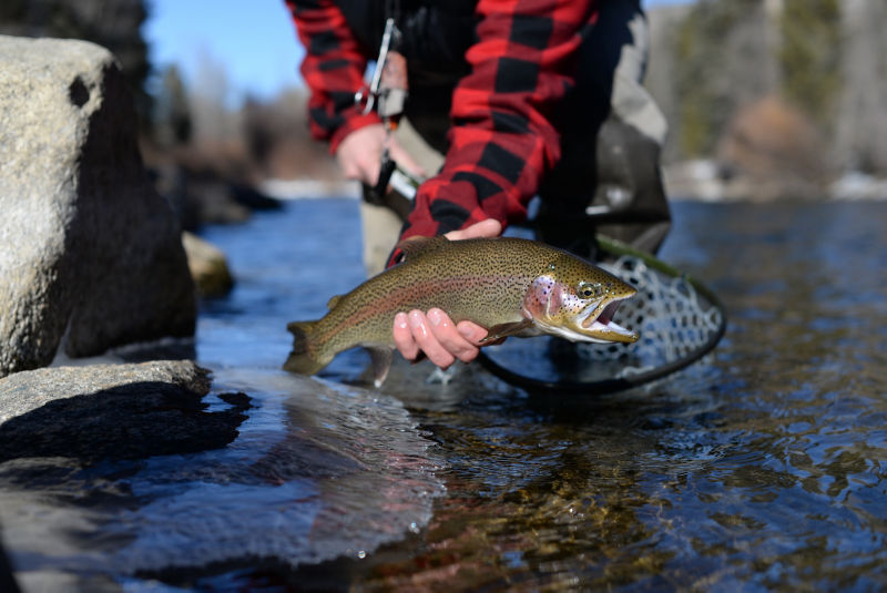 Breckenridge Outfitters, CO -  image number 1