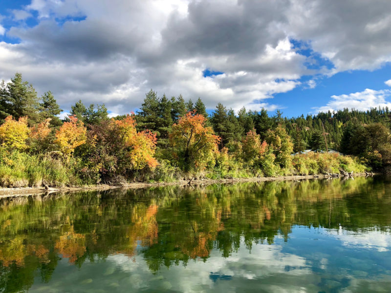 Linehan Outfitting, MT -  image number 2