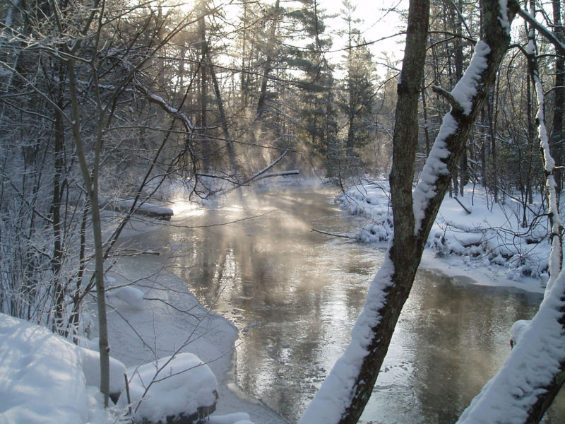Pere Marquette River Lodge Outfitters, MI -  image number 4