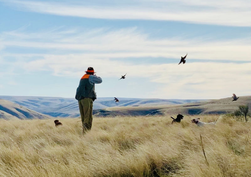 Highland Hills Ranch, OR