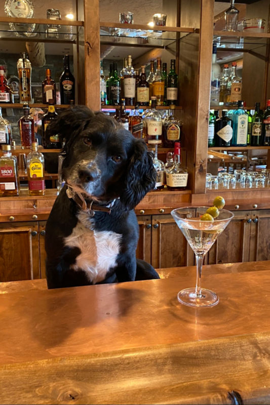 Highland Hills Ranch, OR -  image number 2