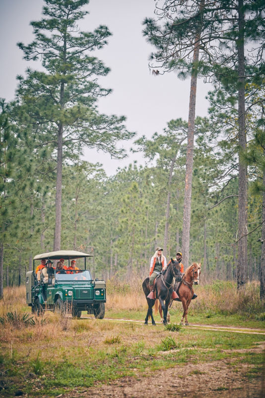 Southwind Plantation, GA -  image number 4