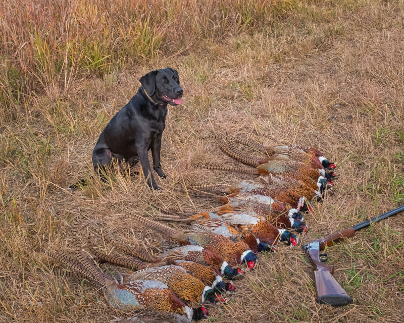 Spring Lane Hunt Club LLC, PA -  image number 2