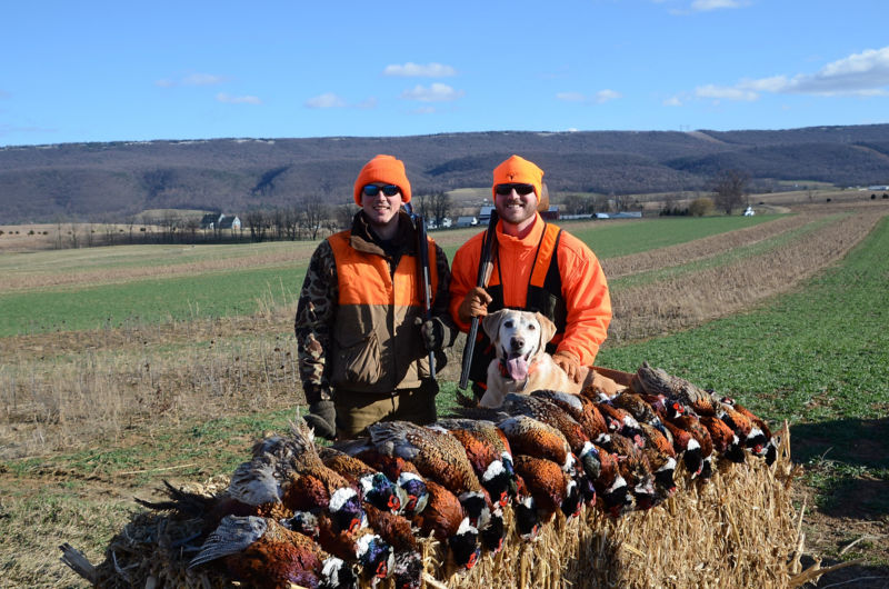 Spring Lane Hunt Club LLC, PA -  image number 4