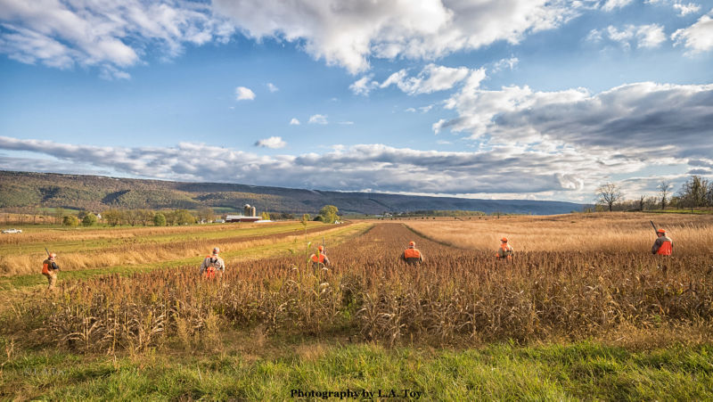 Spring Lane Hunt Club LLC, PA - 