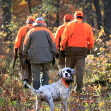 A group of hunters and their dog walks through the woods at The Grouse Lodge at Little Moran.