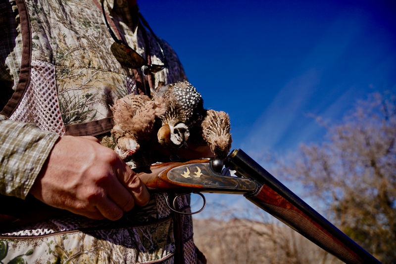 Dave Brown Outfitters & Quail Guides, AZ - 
