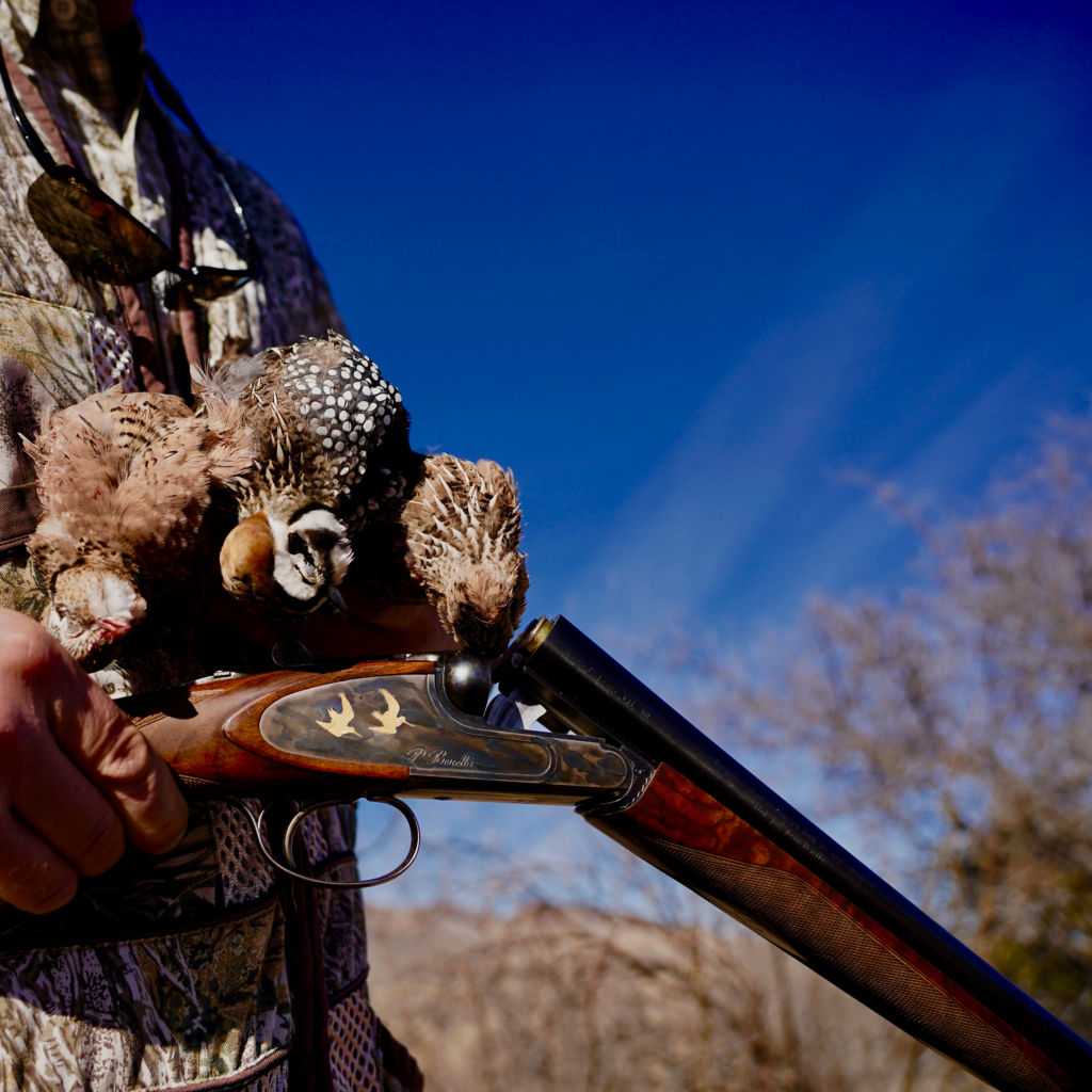 Dave Brown Outfitters - Arizona Quail Guides -  image number 0