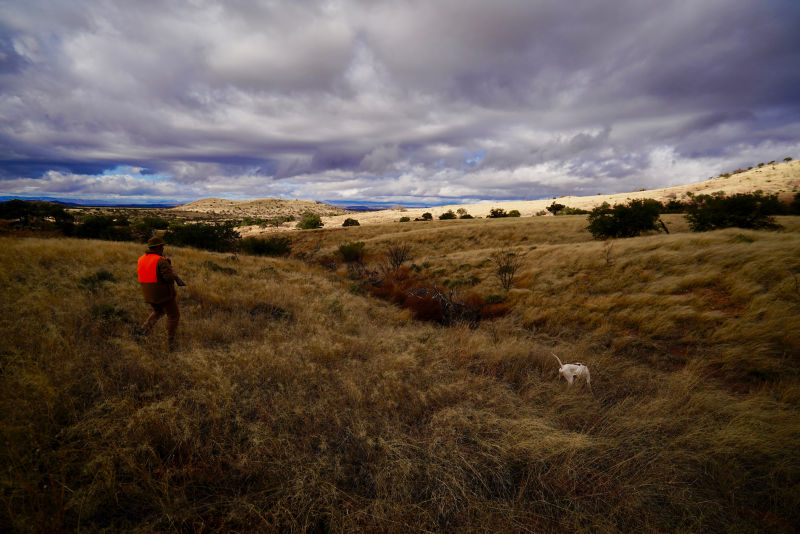 Dave Brown Outfitters & Quail Guides, AZ -  image number 4