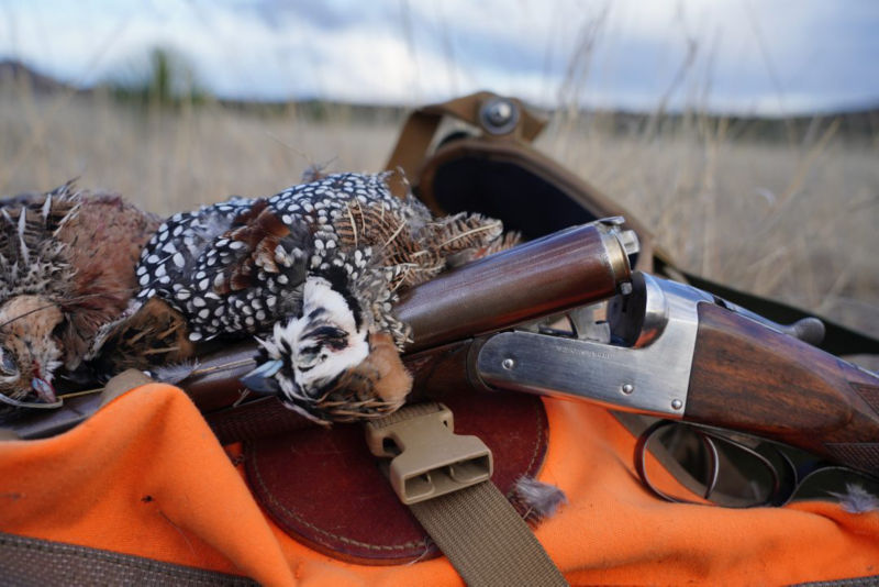 Dave Brown Outfitters & Quail Guides, AZ -  image number 6