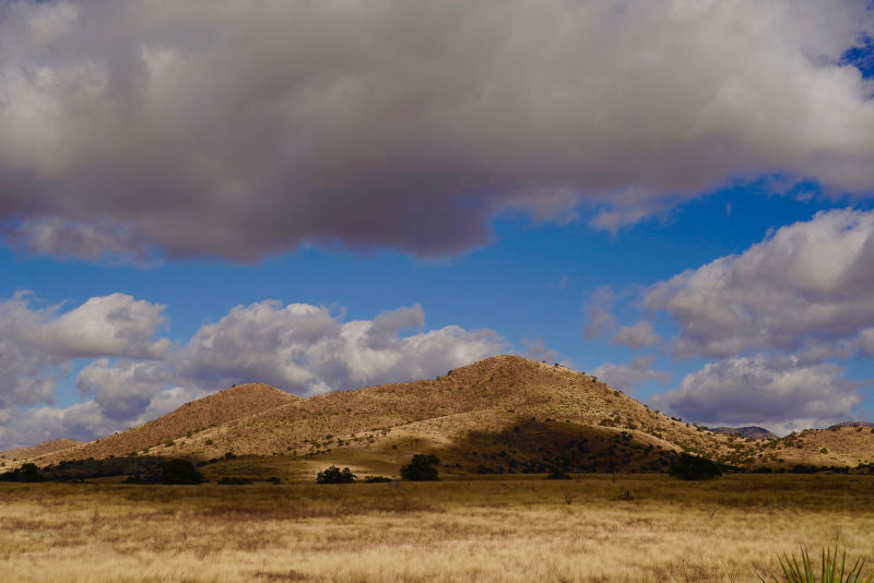 Dave Brown Outfitters & Quail Guides, AZ -  image number 7
