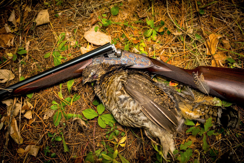 Tim Linehan, MT -  image number 5