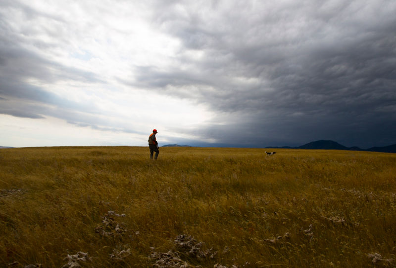 PRO Outfitters&rsquo; Sharptail Lodge, MT -  image number 2