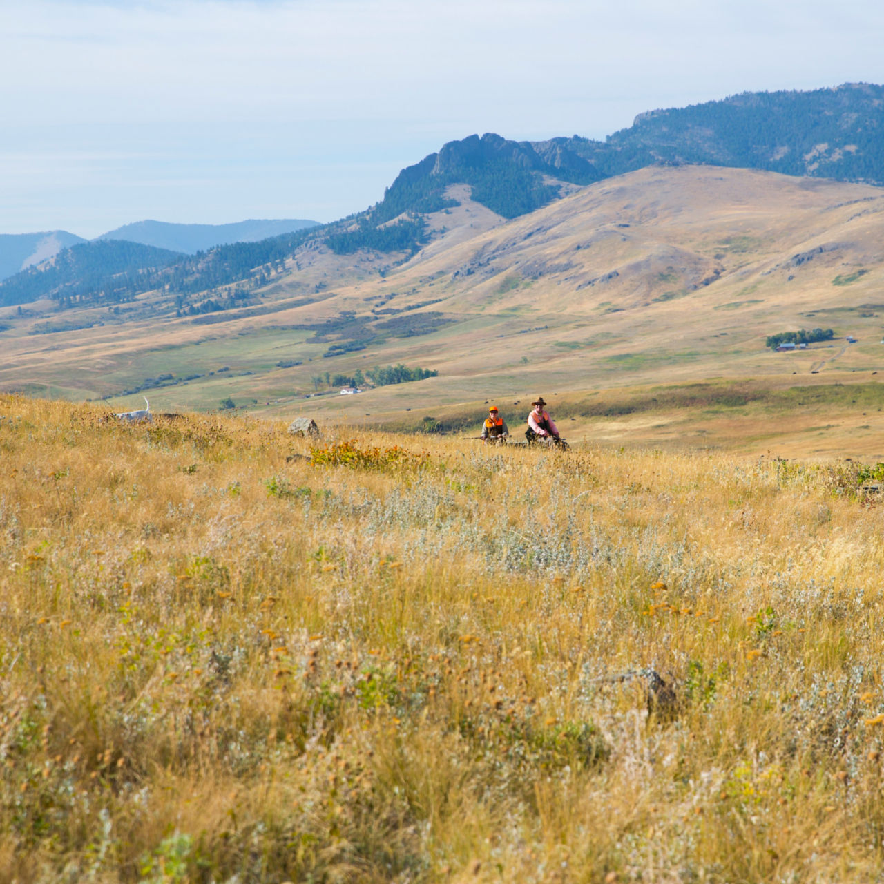 PRO Outfitters’ Sharptail Lodge, MT -  image number 0
