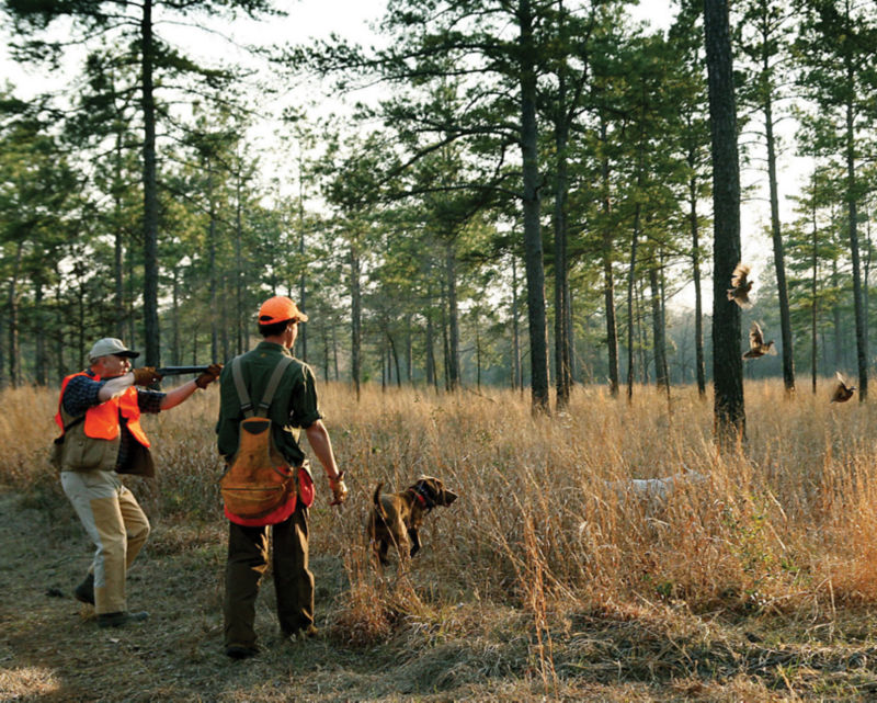 Rio Piedra Plantation, GA -  image number 3